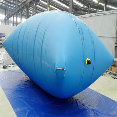 Ballooned Bladder