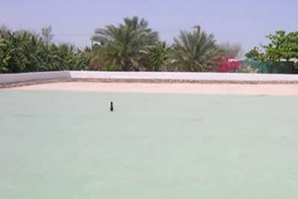  Water Irrigation Pillow Tank